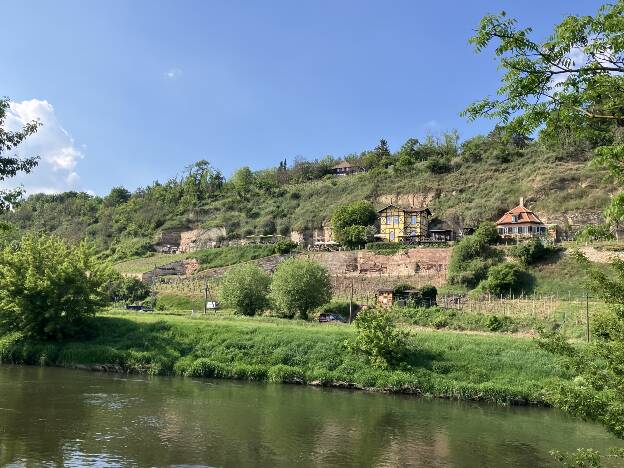 Ziemlich nördliche Weinlage