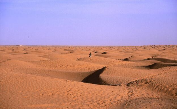 Reiter in der Wüste....der auf Touristen-Kundschaft wartet.